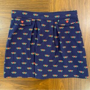 TBBC Heart Skirt Size 7
